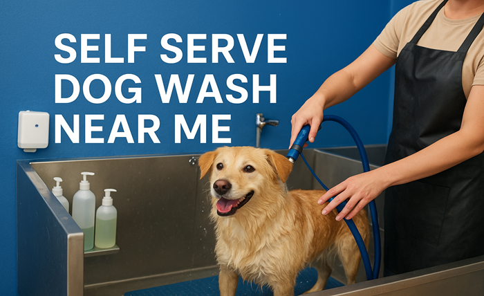 self serve dog wash near me