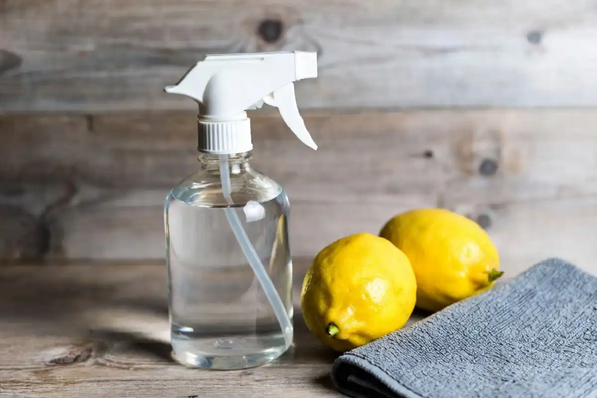 Eco-friendly bliss car wash with vinegar solution